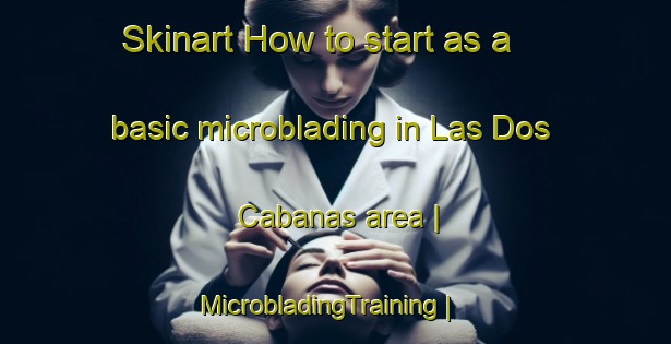 Skinart How to start as a basic microblading in Las Dos Cabanas area | MicrobladingTraining | MicrobladingClasses | SkinartTraining-Mexico